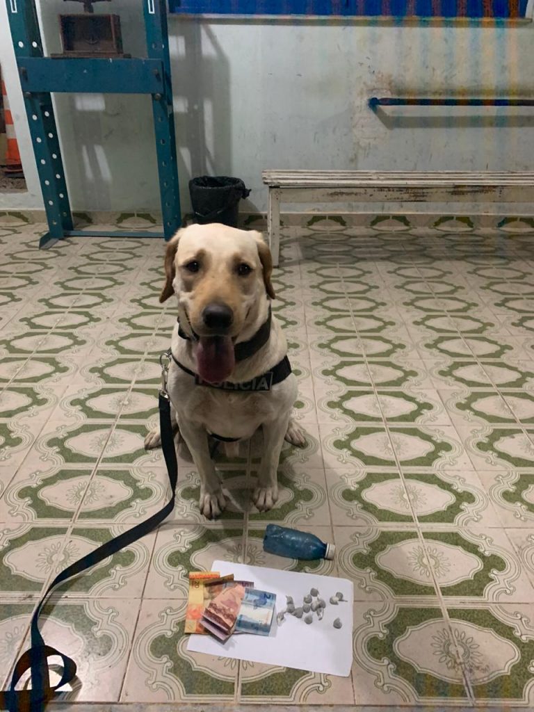 Homem é preso com 14 bombinhas de maconha em Craíbas