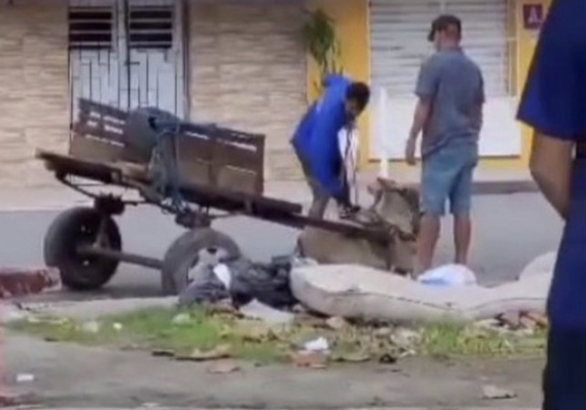PC abre inquérito para investigar homem que aparece agredido animal em Alagoas