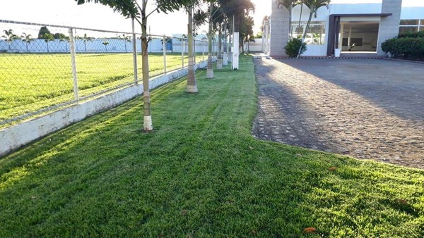 Hotel do ASA deve ficar pronto até o final de outubro, garante dirigente alvinegro