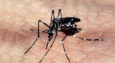 Epidemia de dengue supera a marca de 2 milhões de casos no Brasil